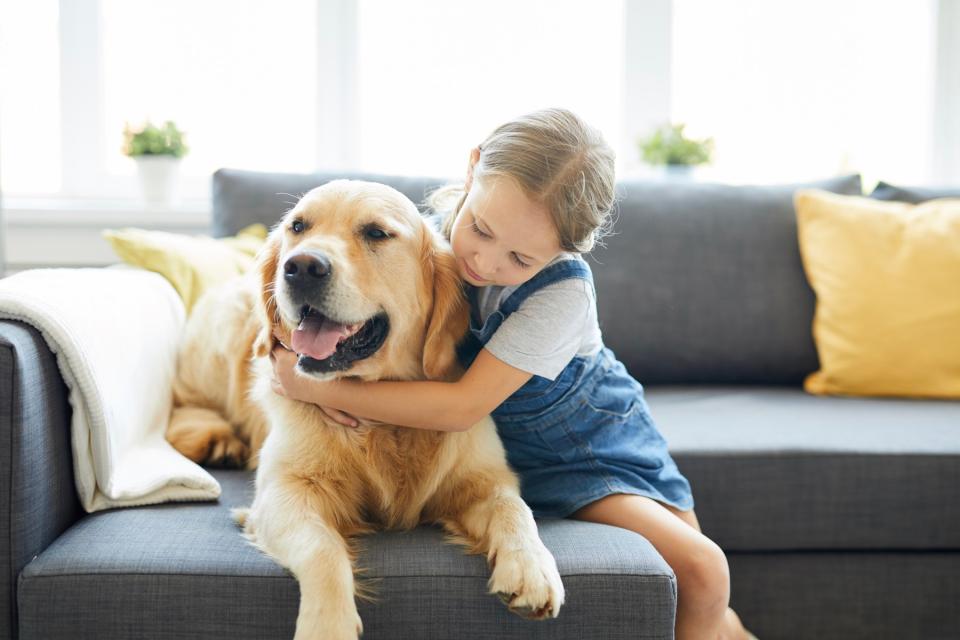 Little girl hugging a Golden Retriever.